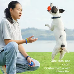 New Durable Hollow Elastic Dog Chew Ball, Teeth Cleaning Molar Toy, Interactive Fetch Ball for Small Medium Dogs