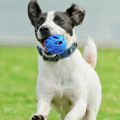 New Durable Hollow Elastic Dog Chew Ball, Teeth Cleaning Molar Toy, Interactive Fetch Ball for Small Medium Dogs