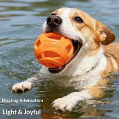 New Durable Hollow Elastic Dog Chew Ball, Teeth Cleaning Molar Toy, Interactive Fetch Ball for Small Medium Dogs