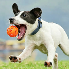 New Durable Hollow Elastic Dog Chew Ball, Teeth Cleaning Molar Toy, Interactive Fetch Ball for Small Medium Dogs