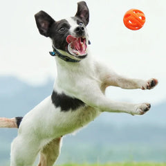 New Durable Hollow Elastic Dog Chew Ball, Teeth Cleaning Molar Toy, Interactive Fetch Ball for Small Medium Dogs