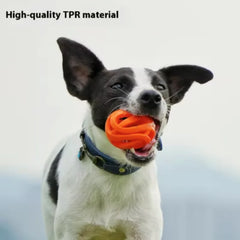 New Durable Hollow Elastic Dog Chew Ball, Teeth Cleaning Molar Toy, Interactive Fetch Ball for Small Medium Dogs